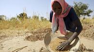 Comida e mudanças climáticas: segurança alimentar em perigo